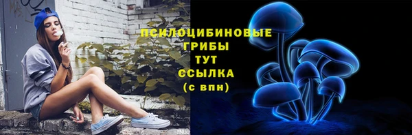 кокс Алексин