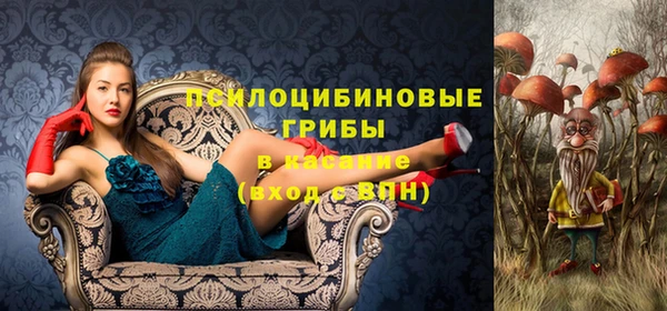 кокс Алексин