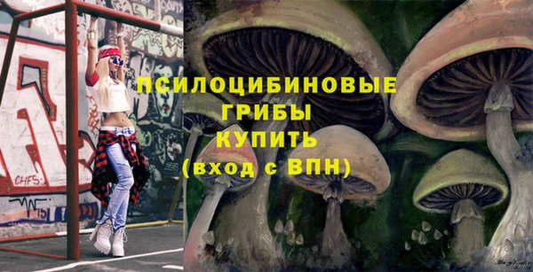 дурь Алзамай