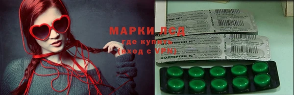 дурь Алзамай