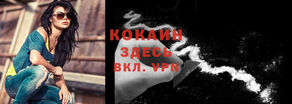 кокс Алексин
