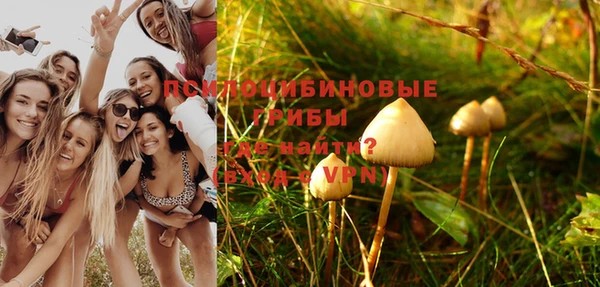 соль ск Алексеевка