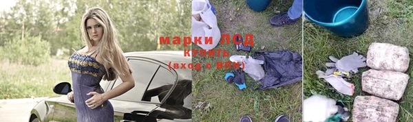 дурь Алзамай