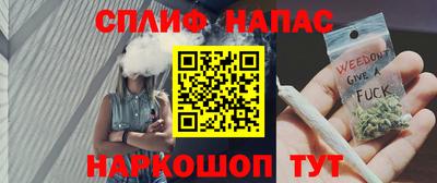 сатива Гагарин