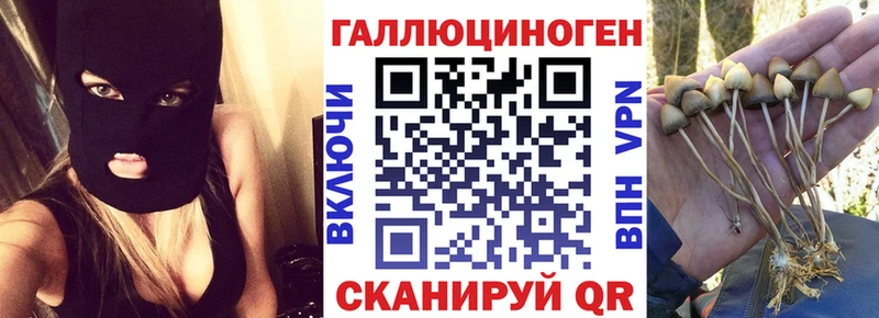 Галлюциногенные грибы GOLDEN TEACHER  наркота  Миллерово 