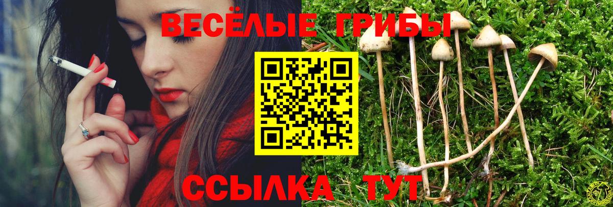 Псилоцибиновые грибы прущие грибы Миллерово