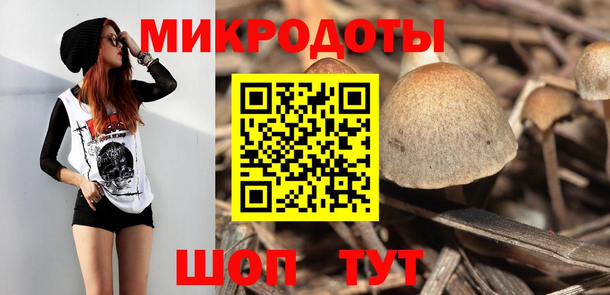 где можно купить наркотик  Вход с VPN  Миллерово  Псилоцибиновые грибы Cubensis 